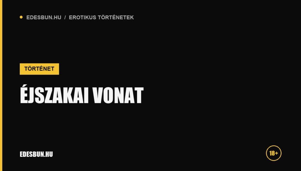 Éjszakai vonat