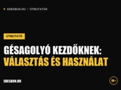 Gésagolyó kezdőknek: választás és használat Gésagolyó kezdőknek: választás és használat - útmutató az edesbun.hu-n